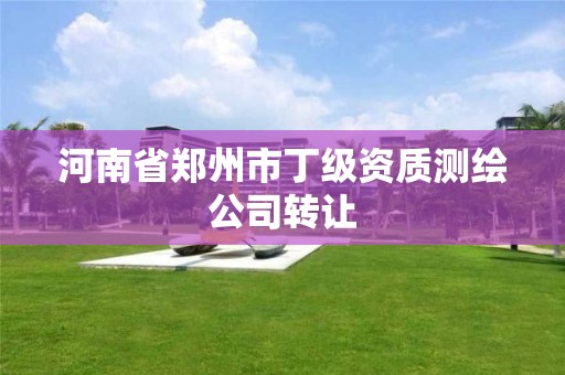 河南省鄭州市丁級資質測繪公司轉讓