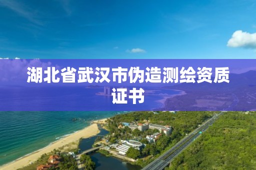 湖北省武漢市偽造測繪資質(zhì)證書