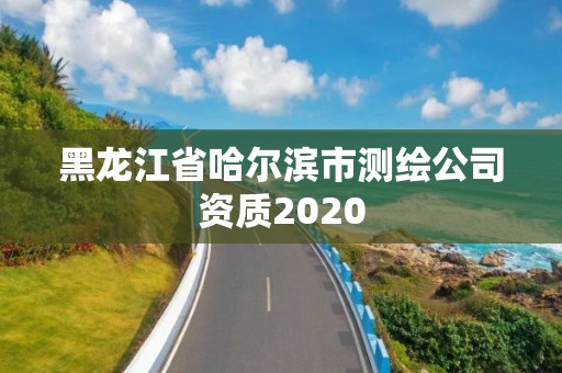 黑龍江省哈爾濱市測繪公司資質(zhì)2020