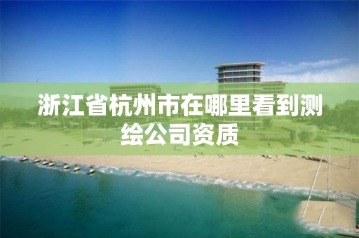 浙江省杭州市在哪里看到測繪公司資質