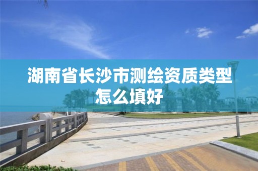 湖南省長沙市測繪資質類型怎么填好