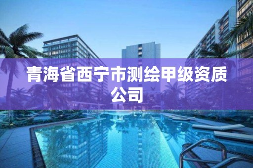 青海省西寧市測繪甲級資質公司