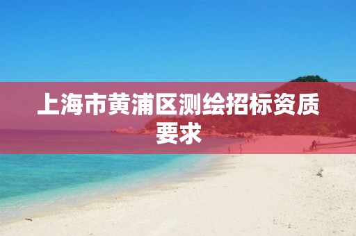 上海市黃浦區(qū)測繪招標資質(zhì)要求