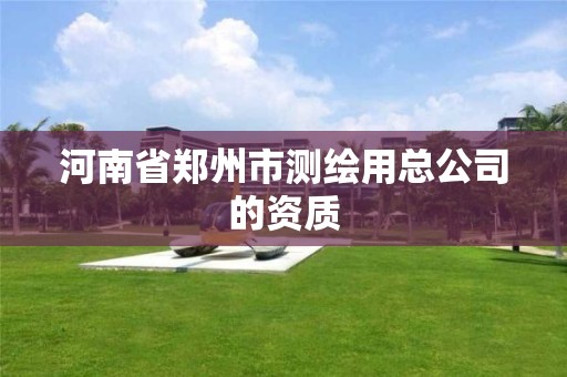 河南省鄭州市測繪用總公司的資質