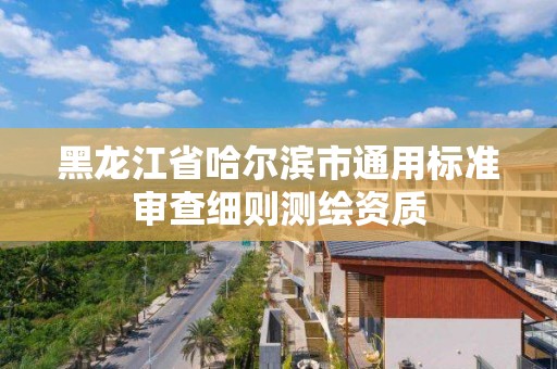 黑龍江省哈爾濱市通用標準審查細則測繪資質