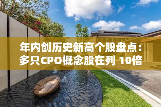 年內創(chuàng)歷史新高個股盤點：多只CPO概念股在列 10倍牛股或在這兩只個股中產生