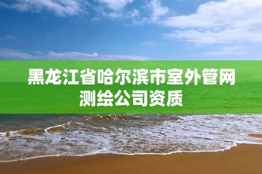 黑龍江省哈爾濱市室外管網測繪公司資質