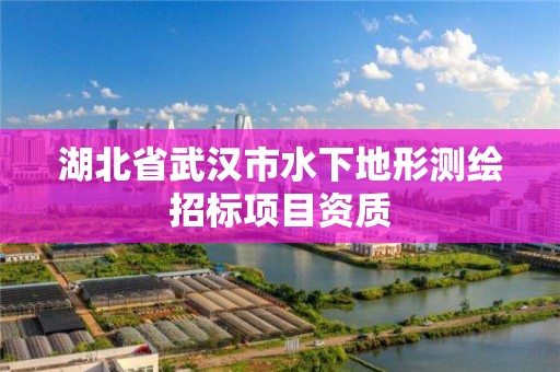 湖北省武漢市水下地形測繪招標項目資質