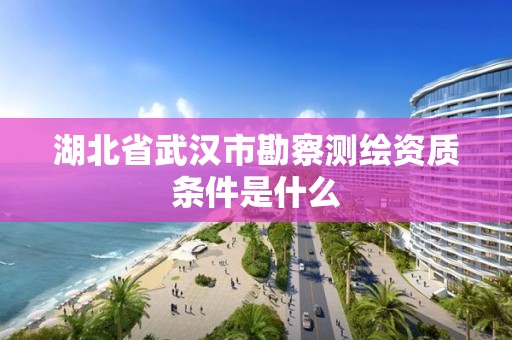 湖北省武漢市勘察測繪資質條件是什么