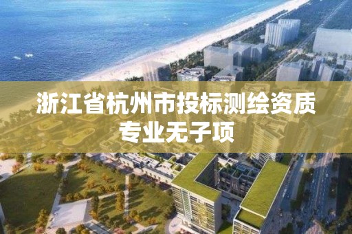 浙江省杭州市投標測繪資質專業無子項