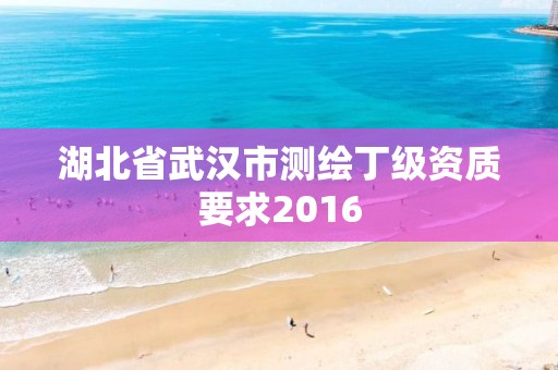 湖北省武漢市測繪丁級資質要求2016