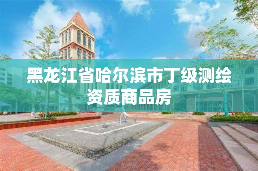 黑龍江省哈爾濱市丁級測繪資質商品房