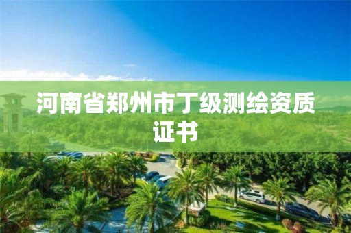 河南省鄭州市丁級測繪資質證書