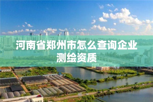 河南省鄭州市怎么查詢企業(yè)測繪資質(zhì)