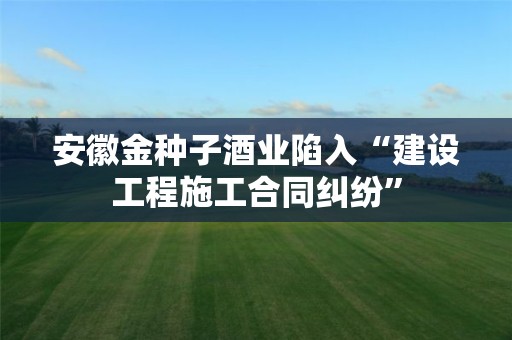 安徽金種子酒業陷入“建設工程施工合同糾紛”