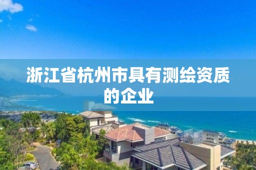 浙江省杭州市具有測(cè)繪資質(zhì)的企業(yè)