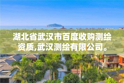 湖北省武漢市百度收購(gòu)測(cè)繪資質(zhì),武漢測(cè)繪有限公司。