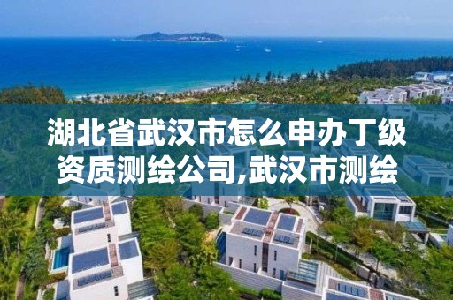 湖北省武漢市怎么申辦丁級資質(zhì)測繪公司,武漢市測繪勘察設計甲級資質(zhì)公司。