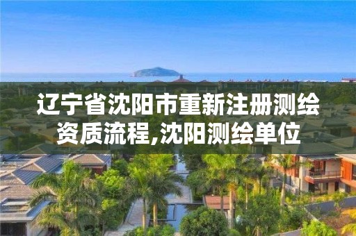 遼寧省沈陽市重新注冊測繪資質(zhì)流程,沈陽測繪單位