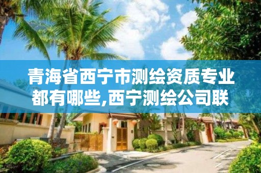 青海省西寧市測繪資質專業都有哪些,西寧測繪公司聯系方式