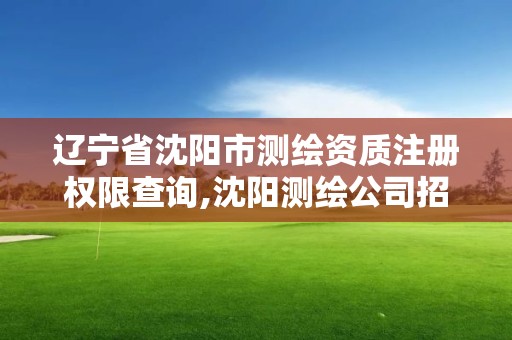 遼寧省沈陽市測繪資質注冊權限查詢,沈陽測繪公司招聘信息最新招聘