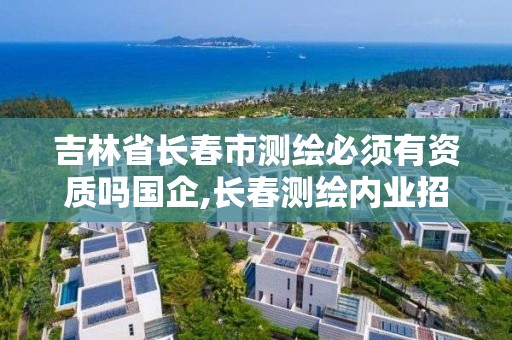 吉林省長春市測繪必須有資質嗎國企,長春測繪內業招聘。