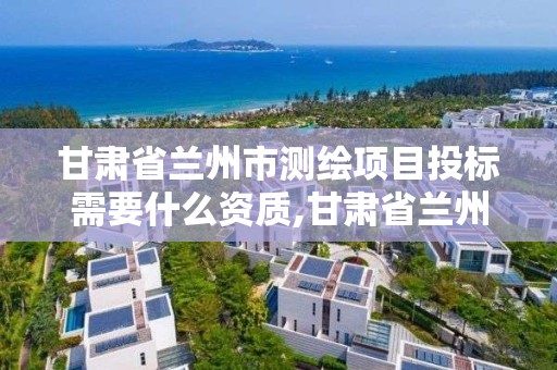 甘肅省蘭州市測繪項目投標需要什么資質,甘肅省蘭州市測繪項目投標需要什么資質。