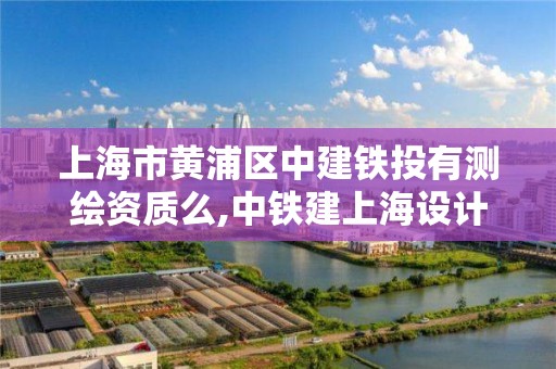 上海市黃浦區中建鐵投有測繪資質么,中鐵建上海設計院。