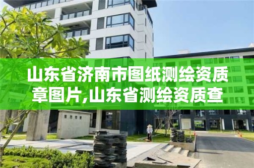 山東省濟(jì)南市圖紙測繪資質(zhì)章圖片,山東省測繪資質(zhì)查詢