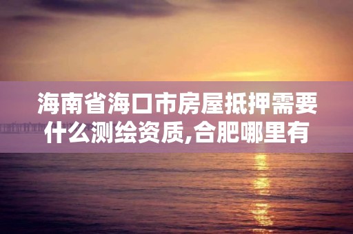 海南省海口市房屋抵押需要什么測繪資質,合肥哪里有圣羅蘭包包專柜。