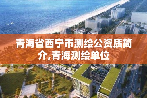 青海省西寧市測繪公資質簡介,青海測繪單位