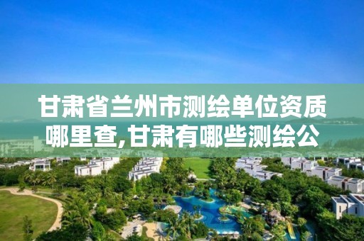 甘肅省蘭州市測繪單位資質(zhì)哪里查,甘肅有哪些測繪公司