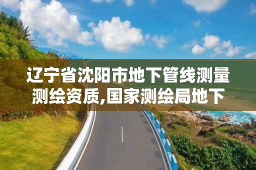 遼寧省沈陽市地下管線測量測繪資質,國家測繪局地下管線勘測工程院