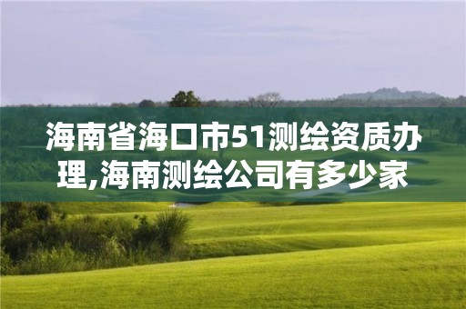 海南省海口市51測(cè)繪資質(zhì)辦理,海南測(cè)繪公司有多少家