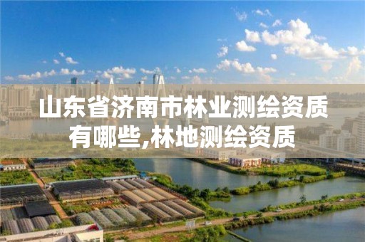 山東省濟南市林業測繪資質有哪些,林地測繪資質