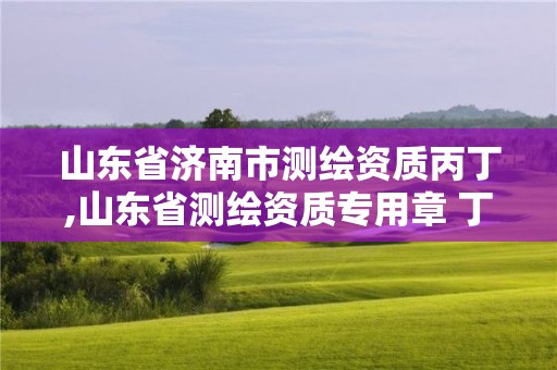 山東省濟南市測繪資質(zhì)丙丁,山東省測繪資質(zhì)專用章 丁級