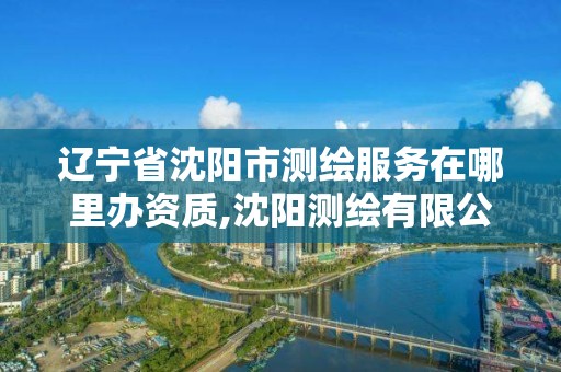 遼寧省沈陽市測繪服務在哪里辦資質,沈陽測繪有限公司。