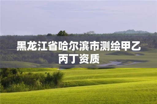 黑龍江省哈爾濱市測繪甲乙丙丁資質(zhì)