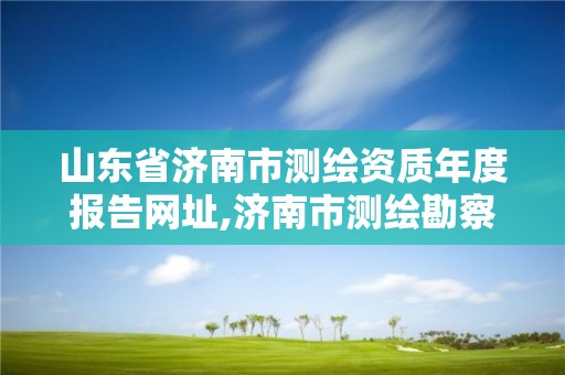 山東省濟南市測繪資質年度報告網址,濟南市測繪勘察研究院