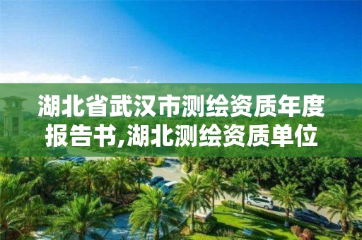 湖北省武漢市測繪資質年度報告書,湖北測繪資質單位。