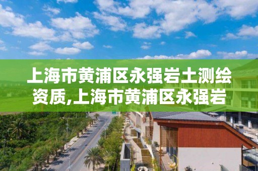 上海市黃浦區永強巖土測繪資質,上海市黃浦區永強巖土測繪資質公司