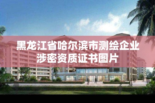 黑龍江省哈爾濱市測繪企業(yè)涉密資質(zhì)證書圖片