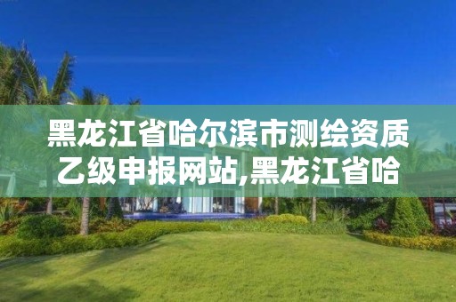 黑龍江省哈爾濱市測繪資質乙級申報網站,黑龍江省哈爾濱市測繪局