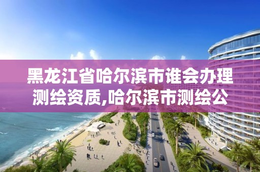 黑龍江省哈爾濱市誰會辦理測繪資質,哈爾濱市測繪公司