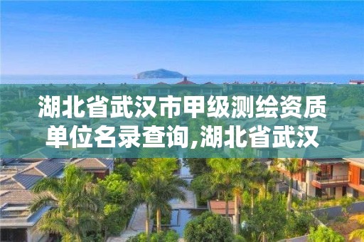 湖北省武漢市甲級測繪資質單位名錄查詢,湖北省武漢市甲級測繪資質單位名錄查詢電話。