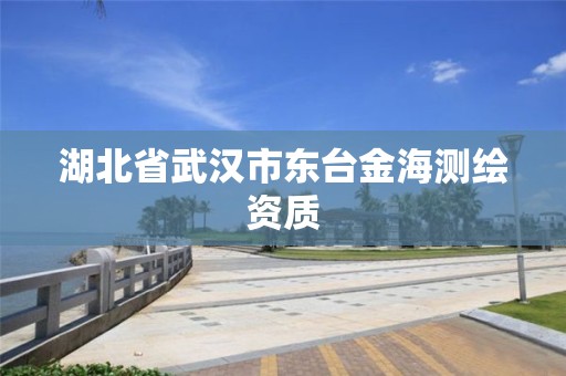 湖北省武漢市東臺金海測繪資質(zhì)