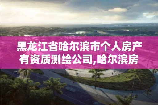 黑龍江省哈爾濱市個人房產有資質測繪公司,哈爾濱房屋檢測鑒定機構中心。