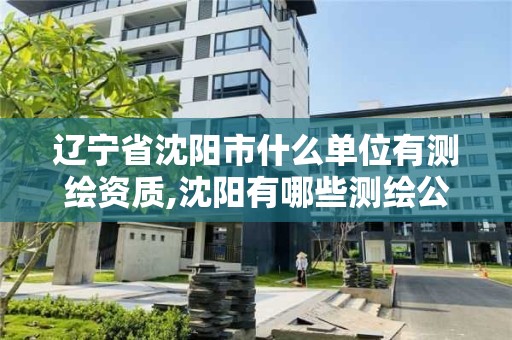 遼寧省沈陽市什么單位有測繪資質,沈陽有哪些測繪公司招聘