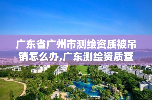 廣東省廣州市測繪資質(zhì)被吊銷怎么辦,廣東測繪資質(zhì)查詢