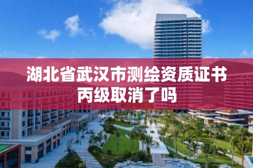 湖北省武漢市測繪資質(zhì)證書丙級取消了嗎